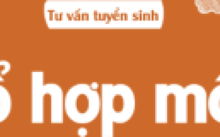 Kế hoạch lựa chọn tổ hợp môn học lớp 10